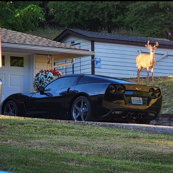 Soon I'll be listing shoes, clothes and gadgets I don't need. #nike #jordans - Picture 3 of 4